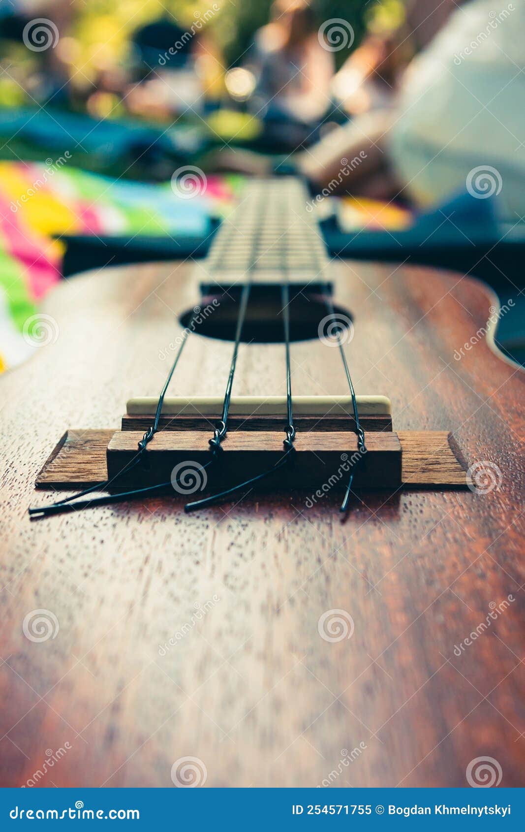 Ukulele in Nature, Concept of a Fun Musical Weekend with Friends Stock