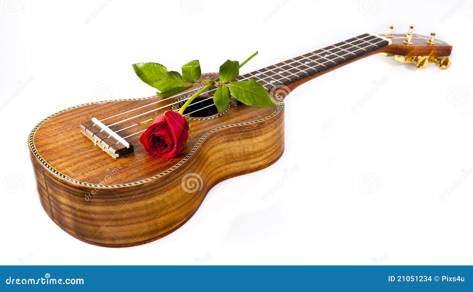 Ukulele and Rose stock photo. Image of leisure, hawaiian 21051234