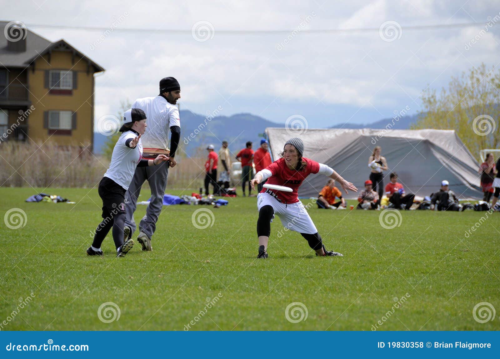 Ultimate Frisbee Throw editorial stock photo. Image of gender 19830358