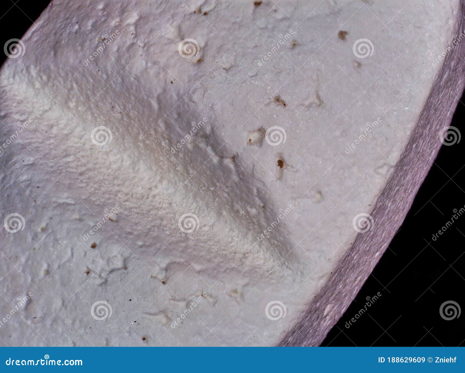 Ultra Close Up of a Medical Pile with Division, with Focus Stacking