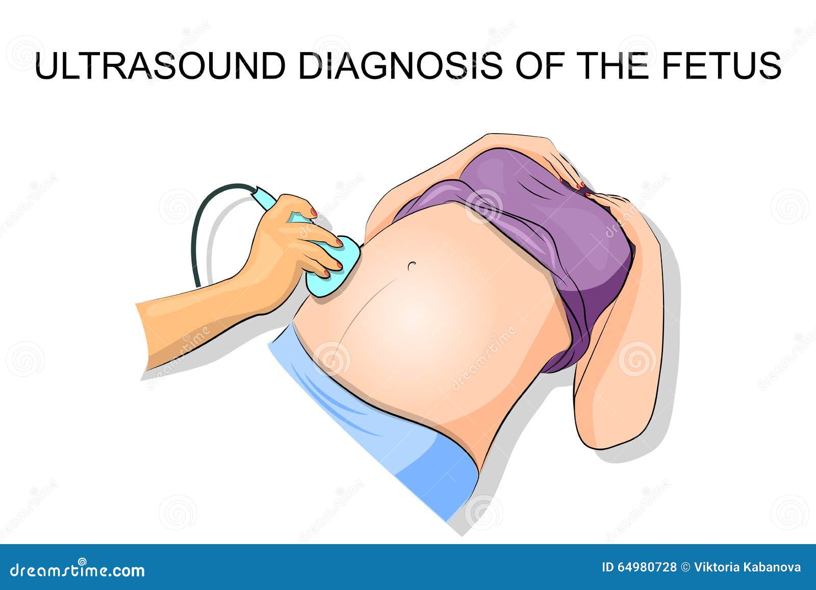 ultrasound diagnosis of the fetus