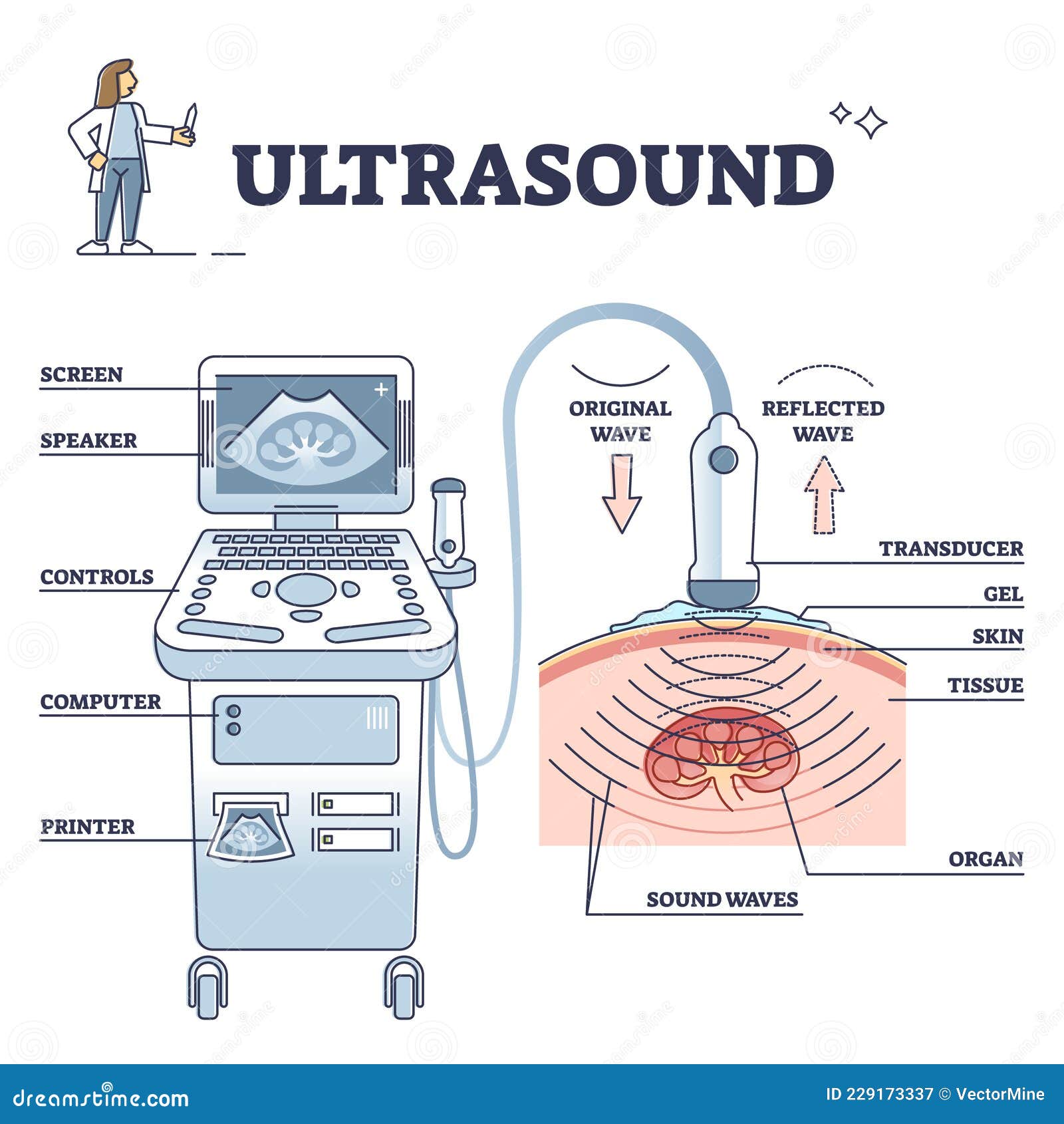 ultrasound machine diagram