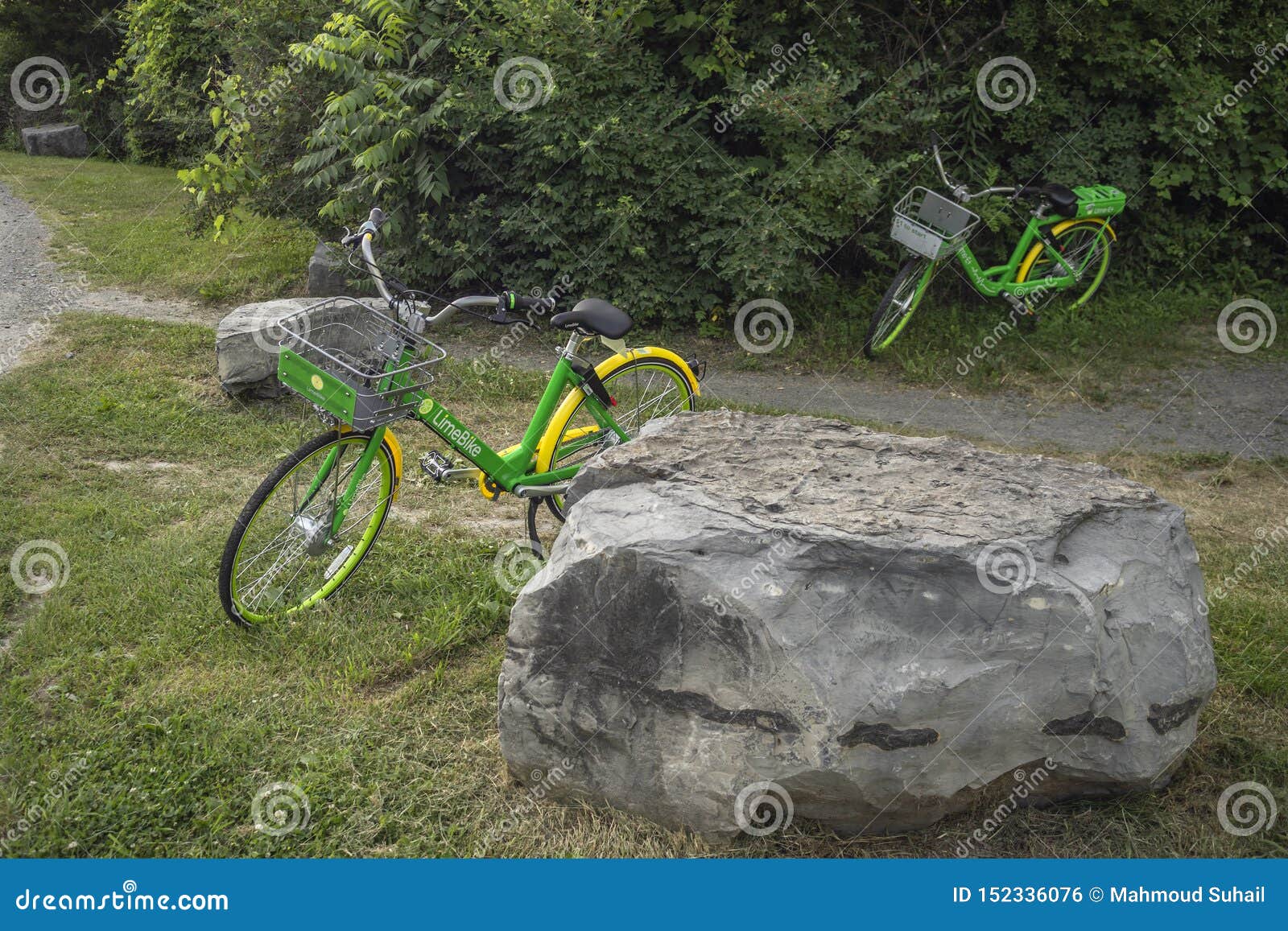 lime pedal bike