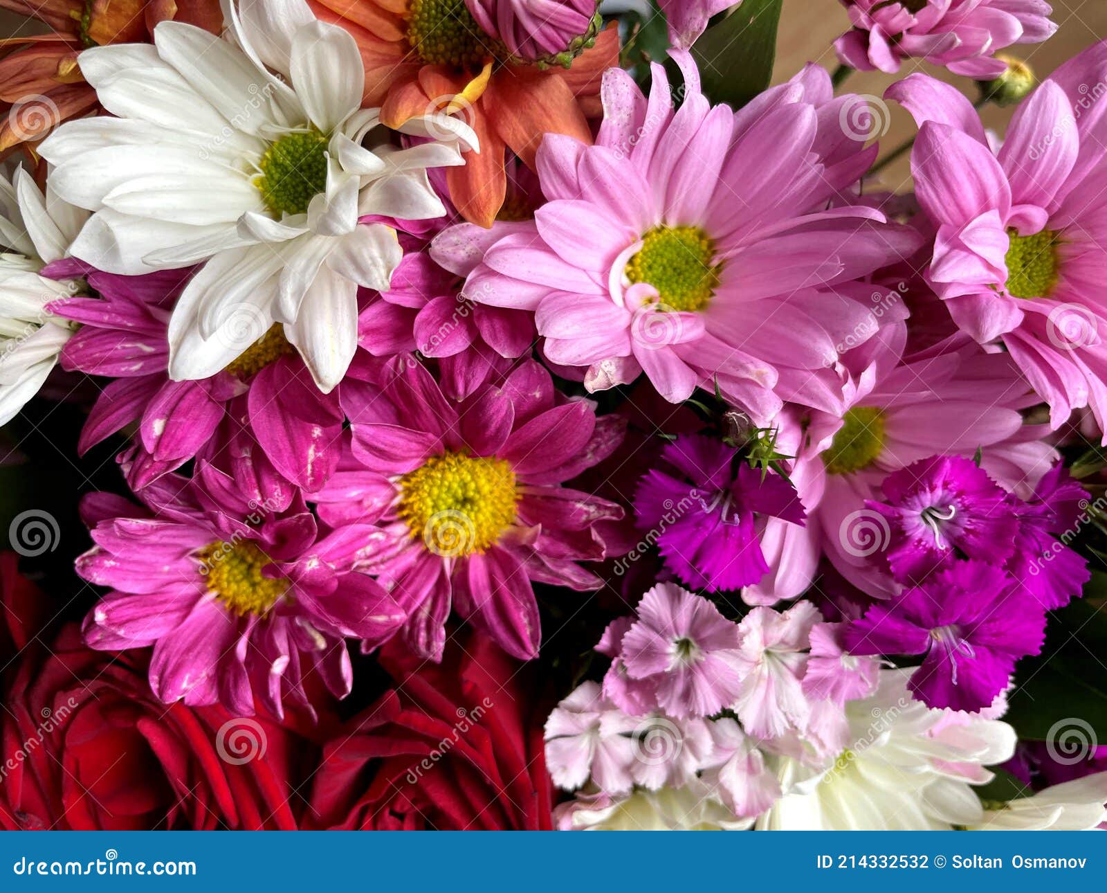 Um Buquê De Flores Lindas E Coloridas Brilhantes Foto de Stock - Imagem de  jardins, menina: 214332532