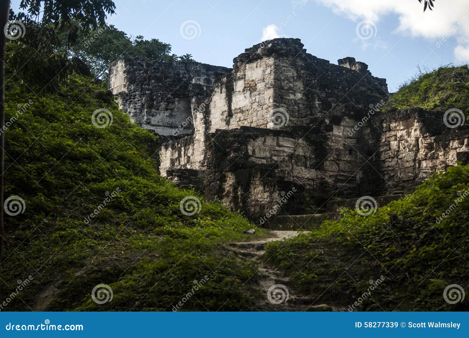 Um caminho escondido às ruínas antigas, parque nacional de Tikal, Guatemala