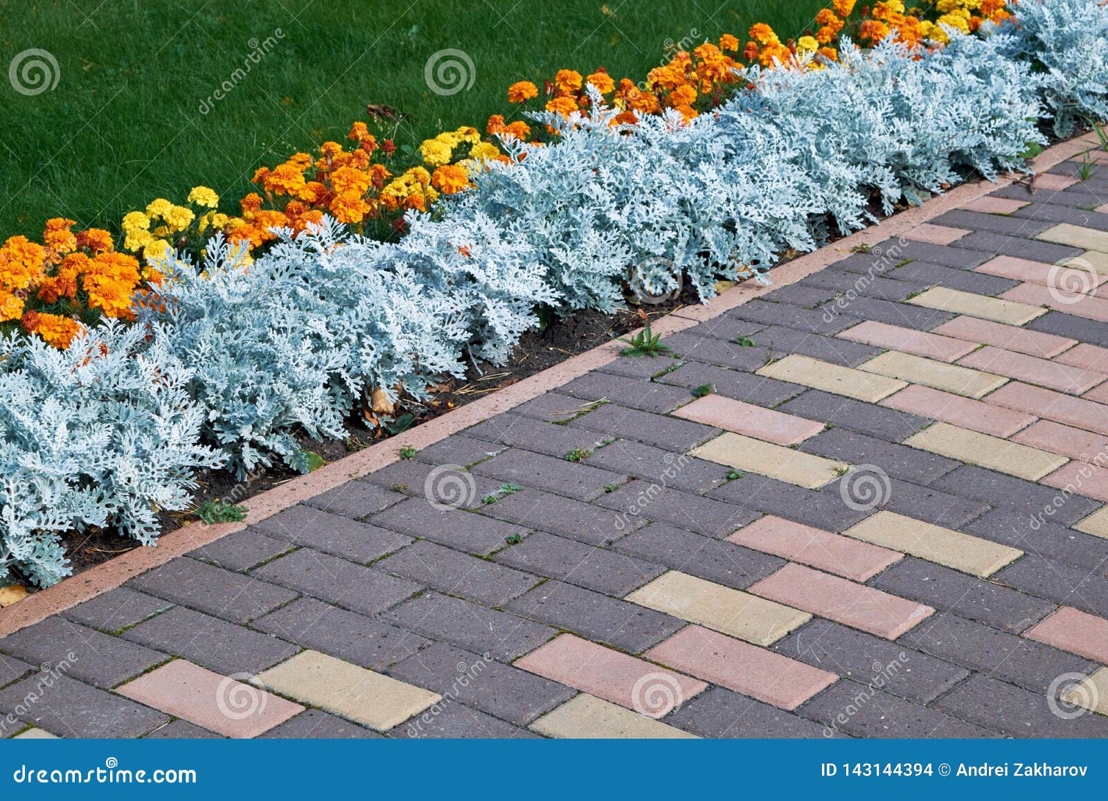 Um Canteiro De Flores De Flores Alaranjadas é Ficado Situado Ao Longo Dos  Trajetos Verdes Do Gramado E Da Pedra Foto de Stock - Imagem de plantas,  jardim: 143144394