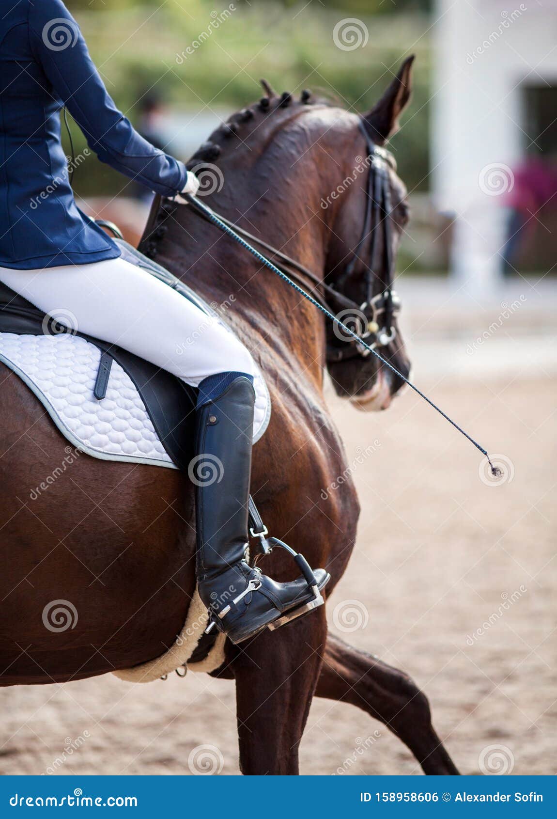 Diferença entre Andar a Cavalo e Montar Cavalo :: Dressage Arte Equestre