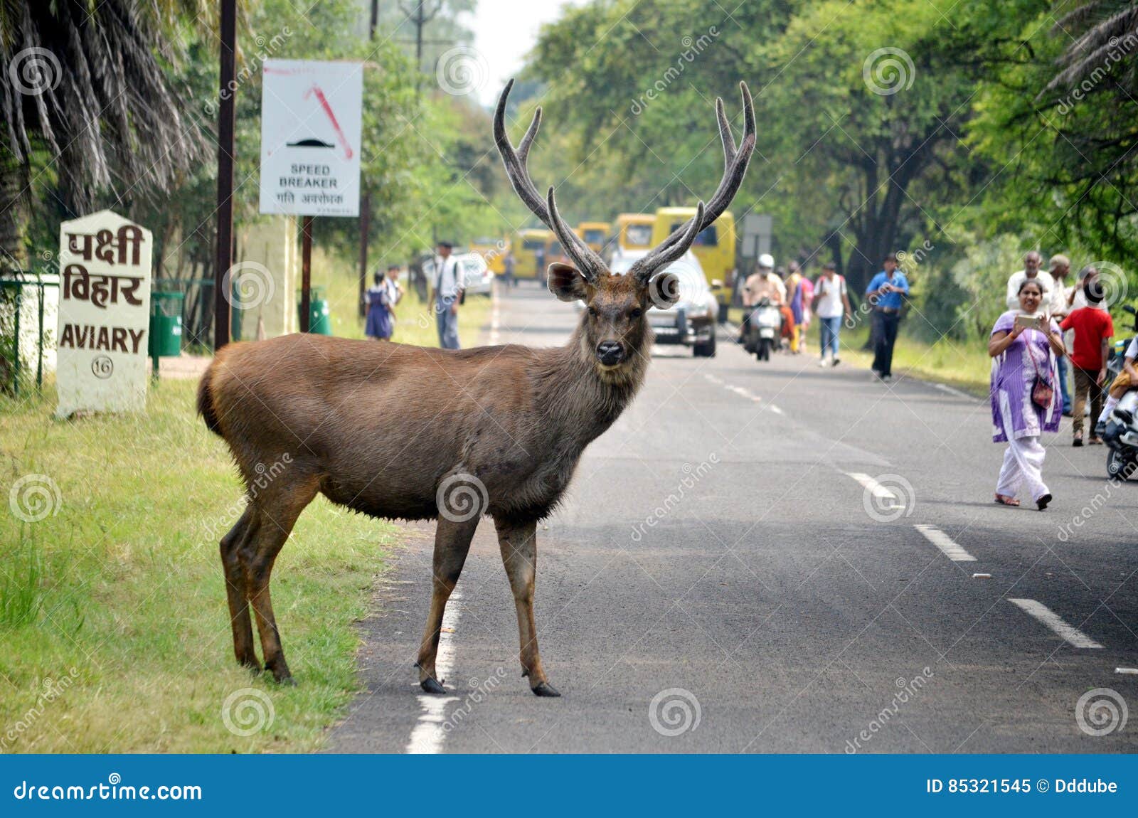 Cascata de Sangue: Fenômeno Natural na Antártida, image size:1600x1150