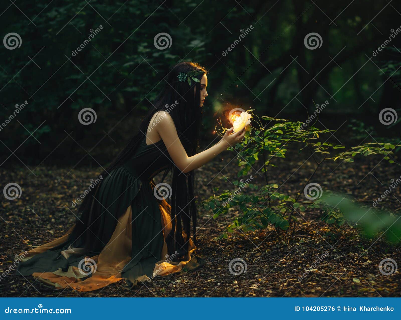 Foto de Luzes De Fada Floresta Mágica e mais fotos de stock de Floresta -  Floresta, Fantasia - Conceito, Tridimensional - iStock