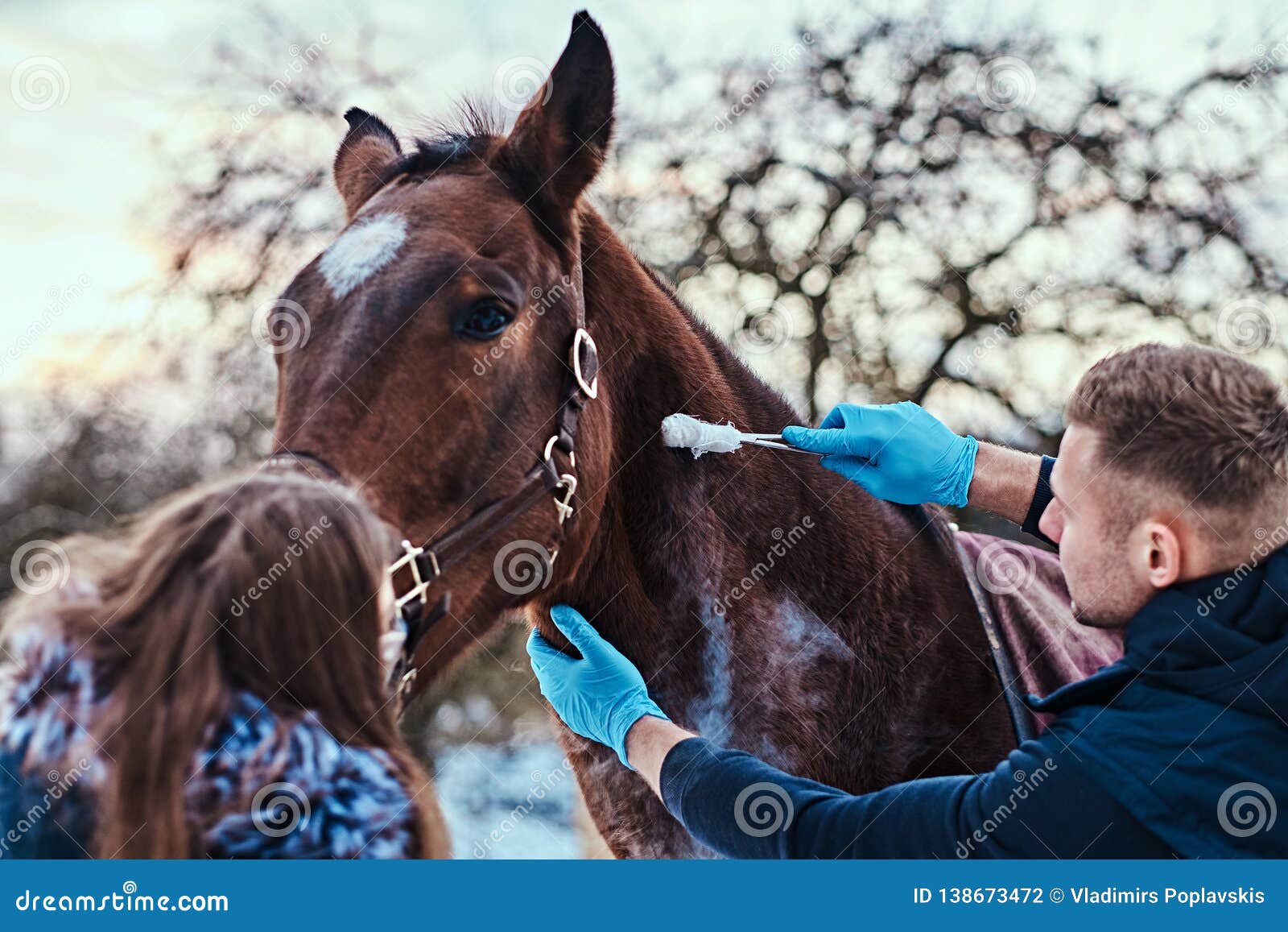 Marcas  Cavalos, Medicina veterinária, Animais de estimação