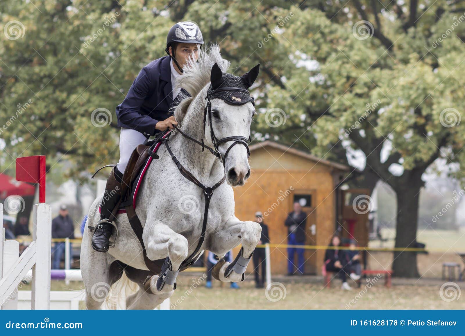 Foto de Adolescente No Branco Cavalo Pulando Muro e mais fotos de stock de  Cinza - Descrição de Cor - Cinza - Descrição de Cor, Concurso de Saltos  Equestres, Adolescente - iStock