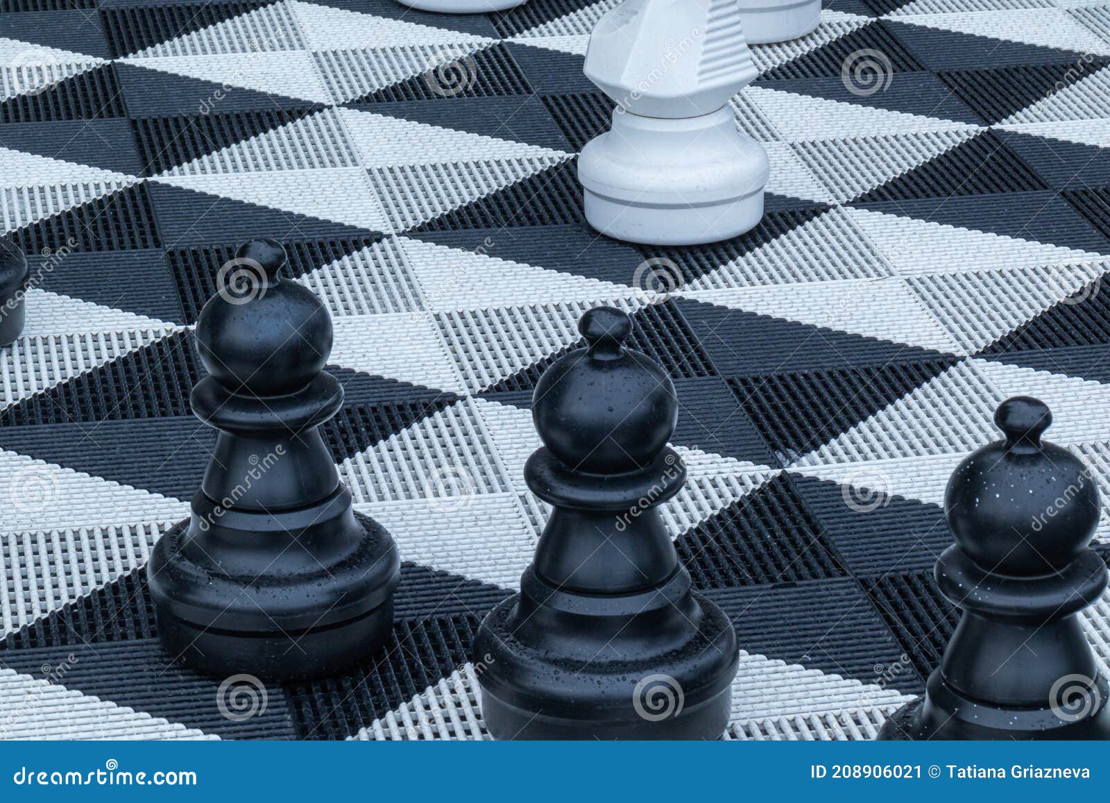 Quadro de xadrez e diferentes peças de xadrez