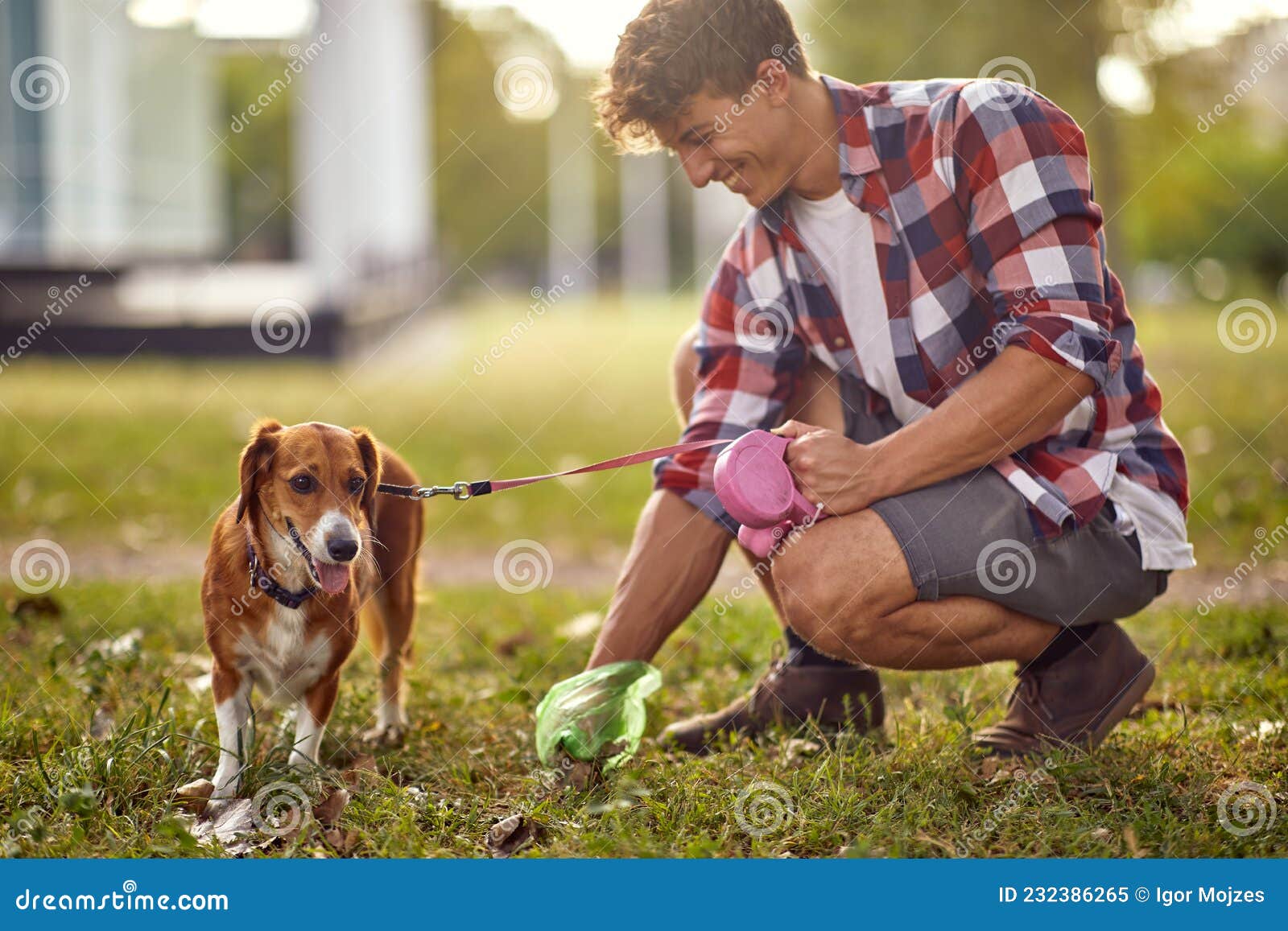 Um Jovem Está De Bom Humor Enquanto Coleciona O Cocô De Seu Cachorro No  Parque. Animais De Estimação Imagem de Stock - Imagem de prazer, feliz:  232386265
