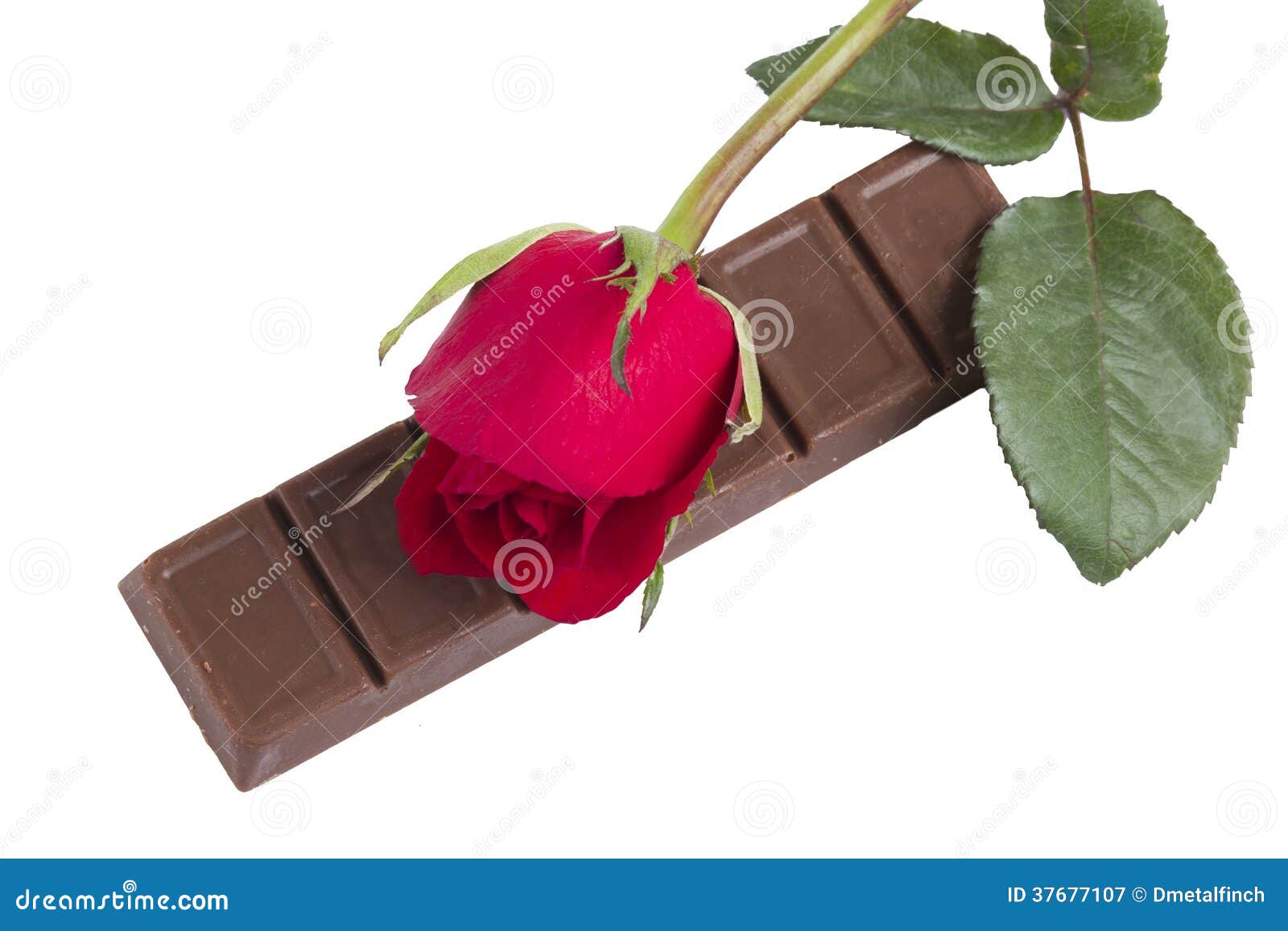 Uma Barra De Chocolate Com Uma Flor Vermelha Da Rosa Imagem de Stock -  Imagem de nave, folha: 37677107