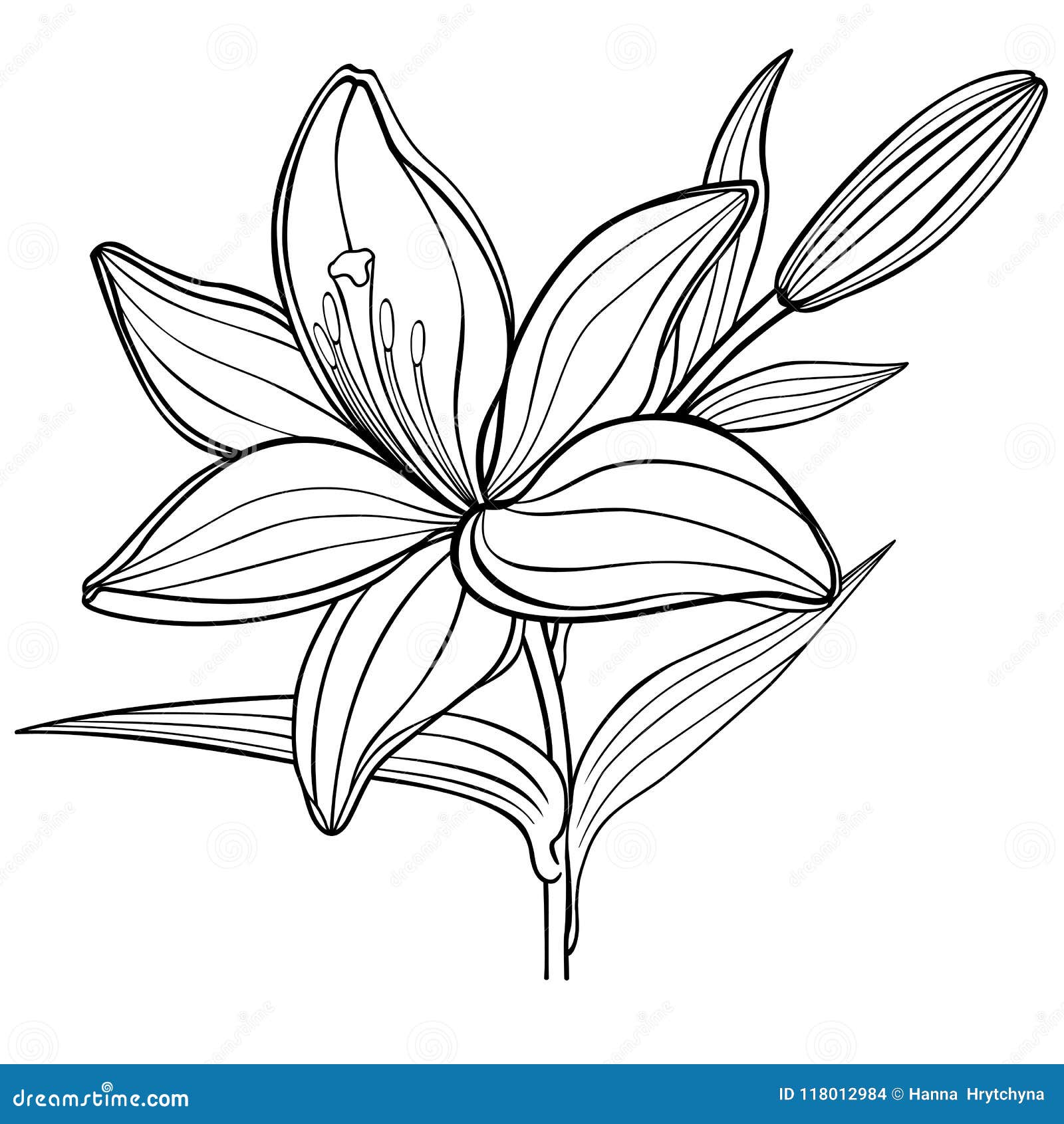 Desenhos para colorir para crianças de Flores e vegetação - Flores e  vegetação - Coloring Pages for Adults