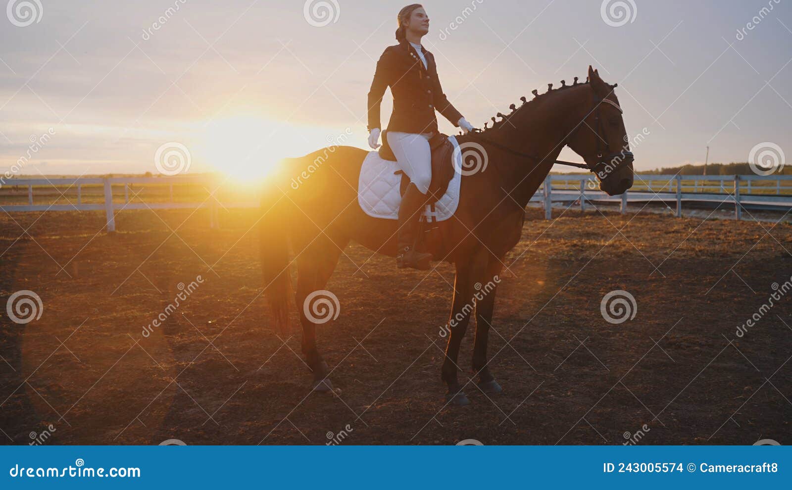 Jovem mostra pulando com cavalo - Fotos de arquivo #14064703