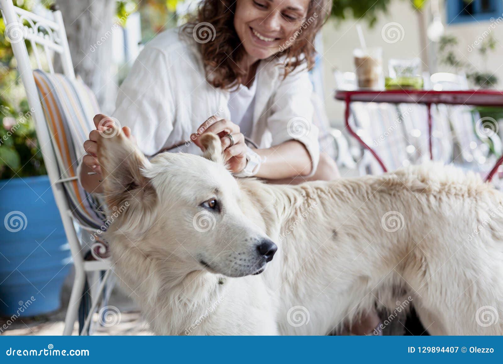 Uma jovem mulher bonita joga com seu cão, Labrador, toca olá!. Uma jovem mulher bonita joga com seu cão, Labrador, toca em suas orelhas, levanta-as acima