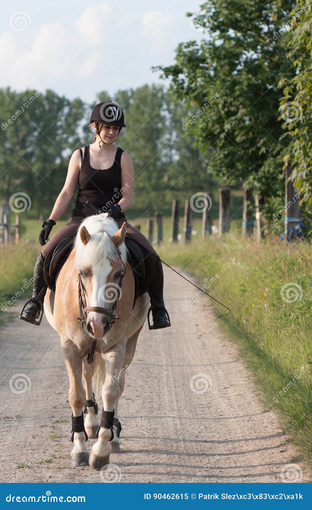 Um cavalo pulando uma cerca em um prado