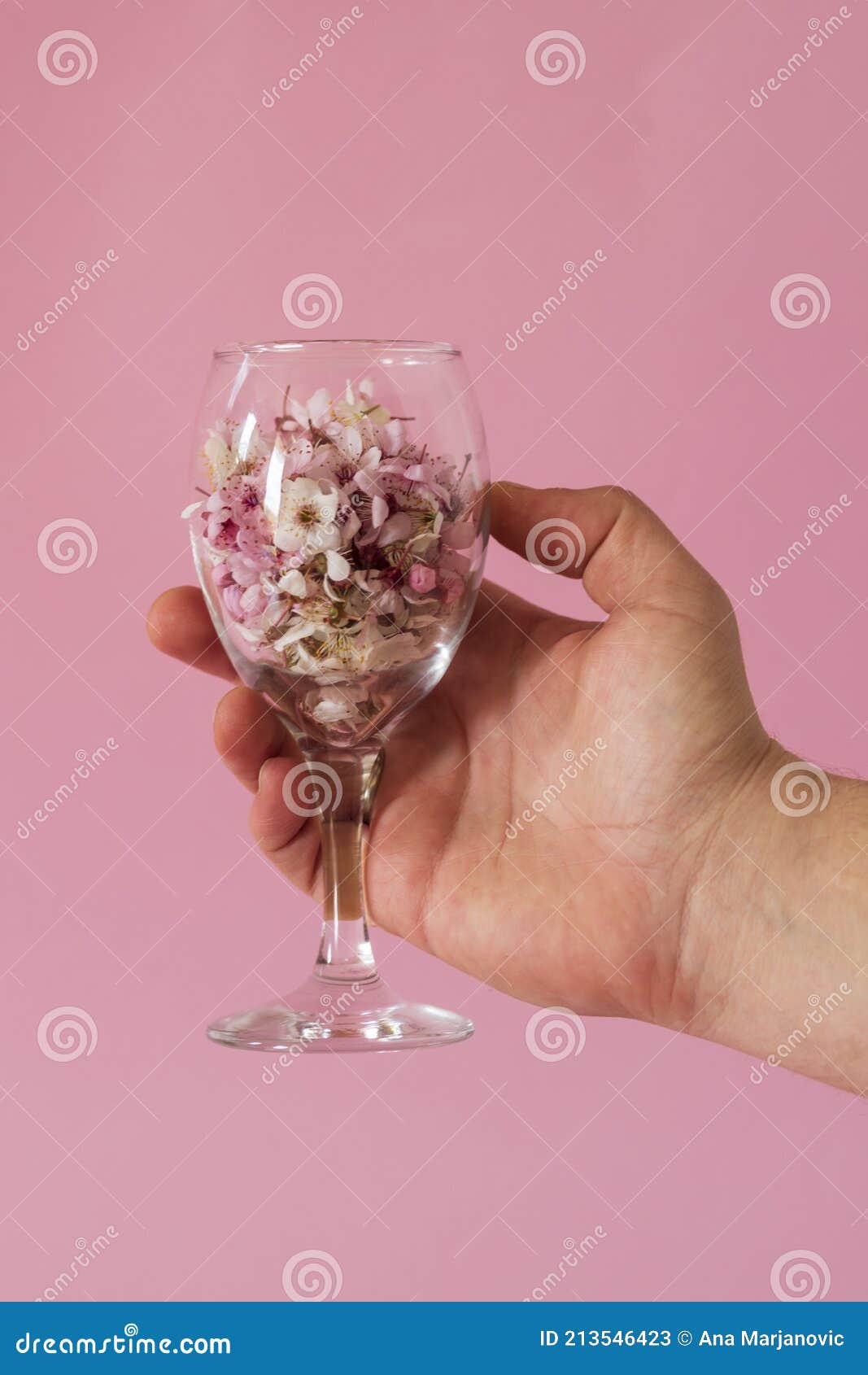 Uma Mão-homem Segurando Um Copo De Vinho Cheio De Flores. Conceito De  Primavera Imagem de Stock - Imagem de vidro, floral: 213546423