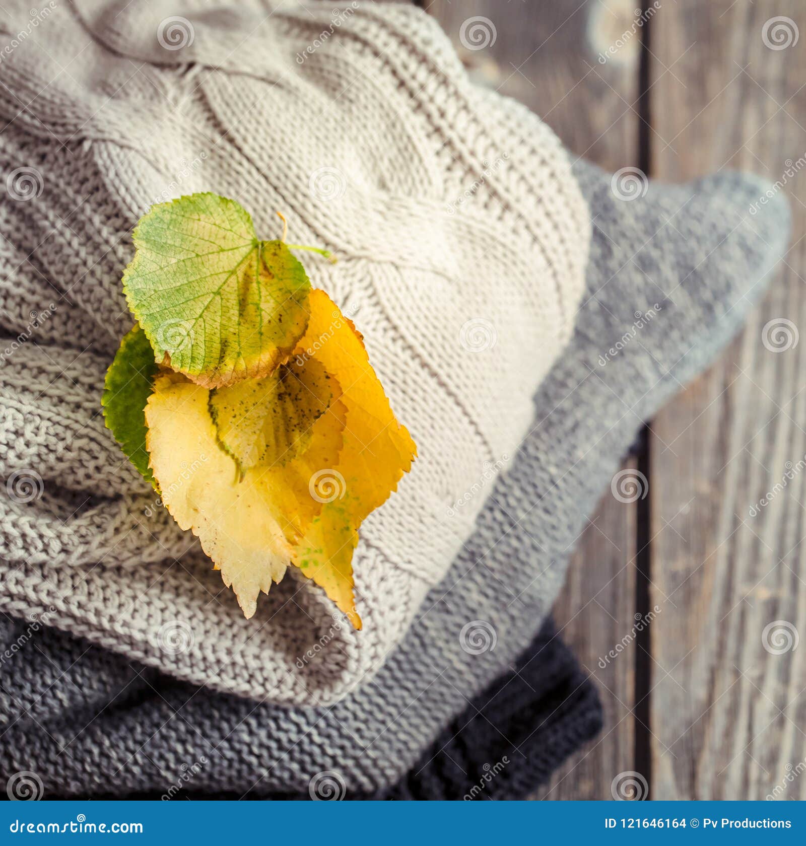 malhas e suéteres femininos