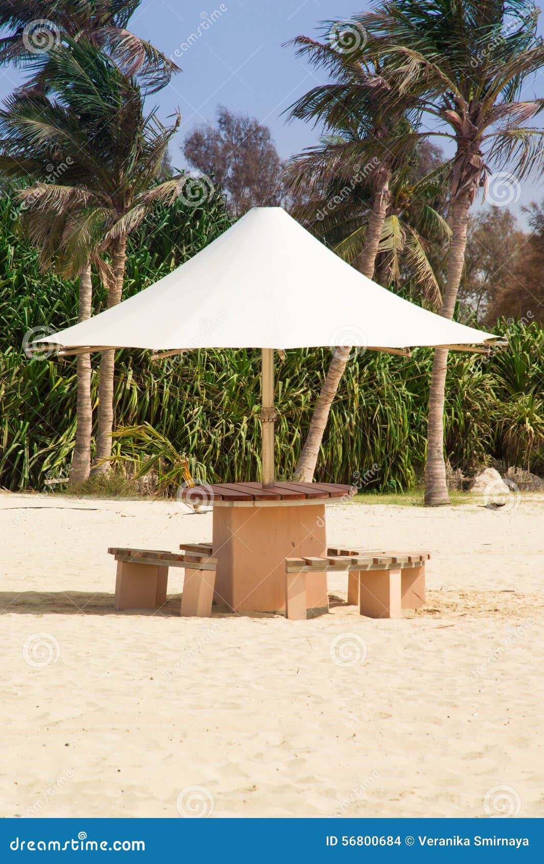 Umbrella with Benches on the Beach, Dubai Stock Photo Image of dubai
