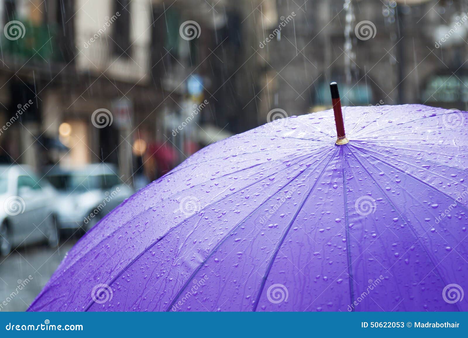 Umbrella in the City with Heavy Rain Stock Image Image of life, rainy
