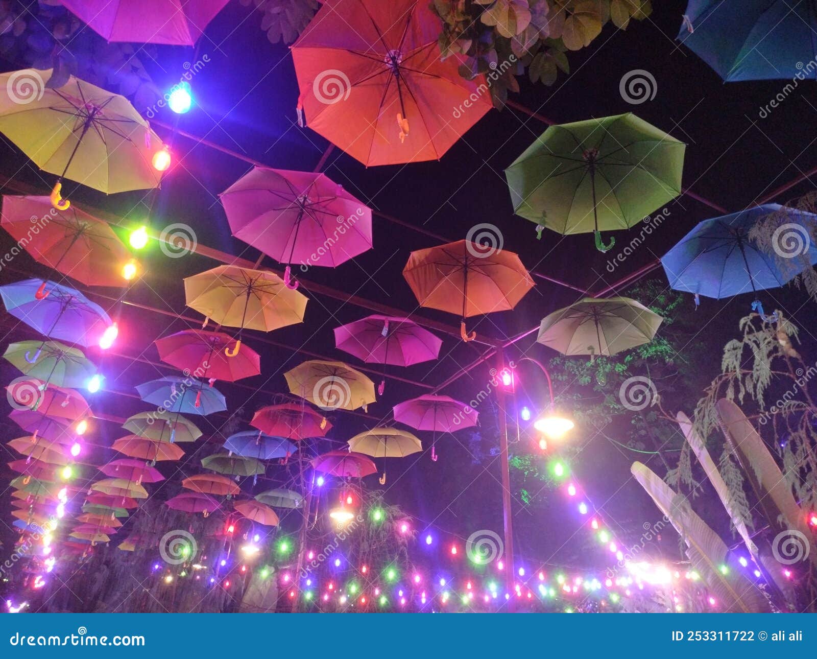 Umbrella Decorations and Colored Lights Stock Photo Image of