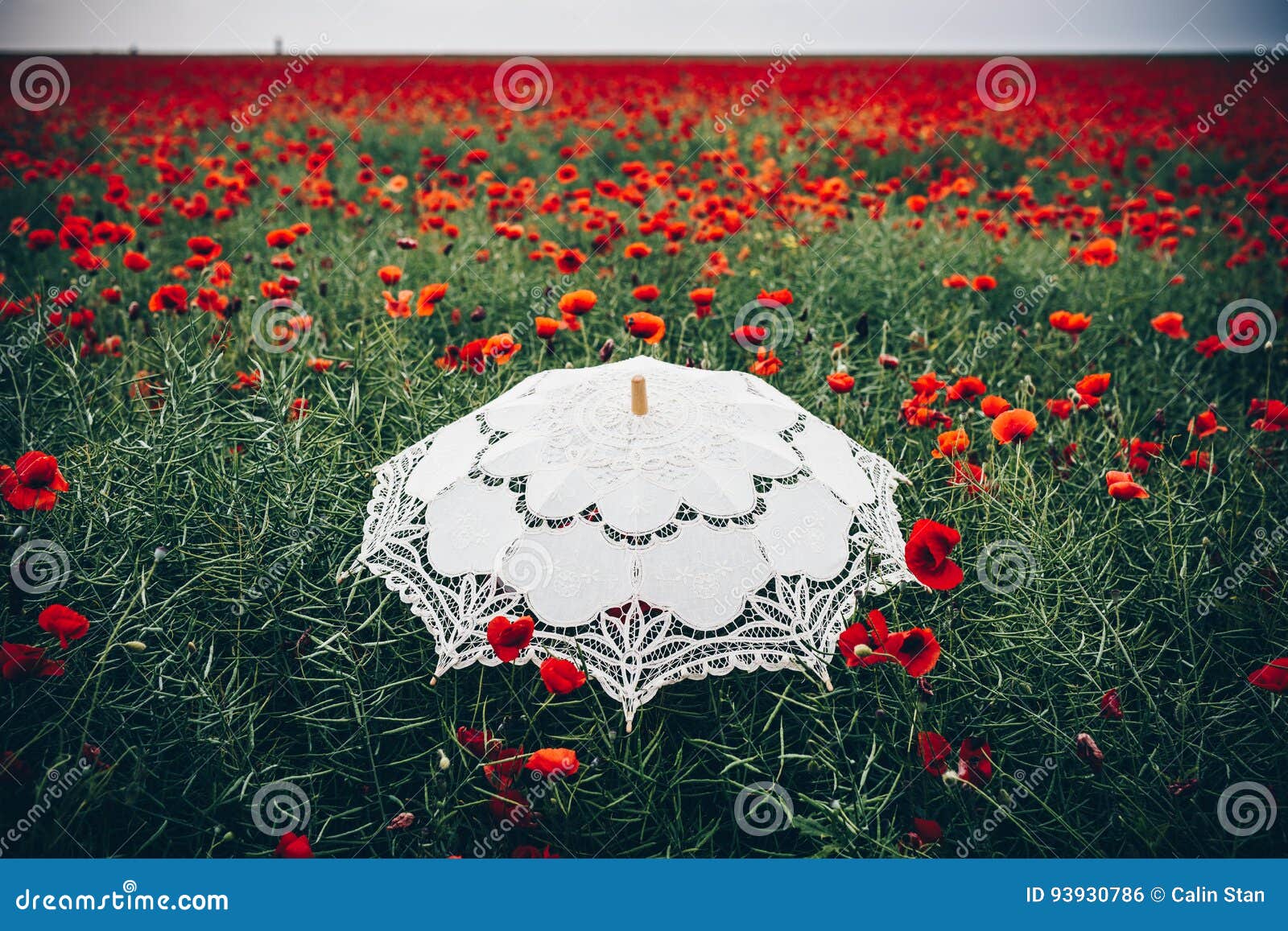 umbrella in poppies field. artistic interpretation.