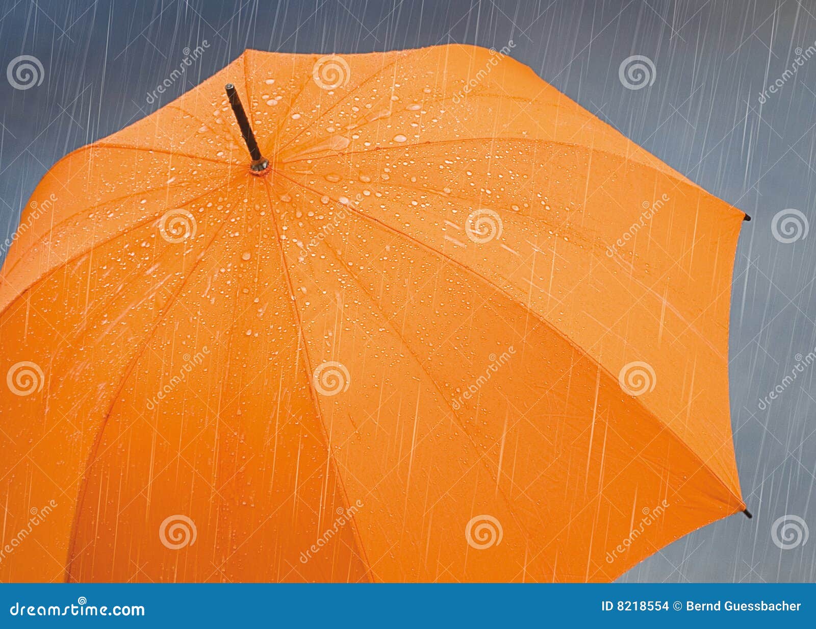 umbrella rain
