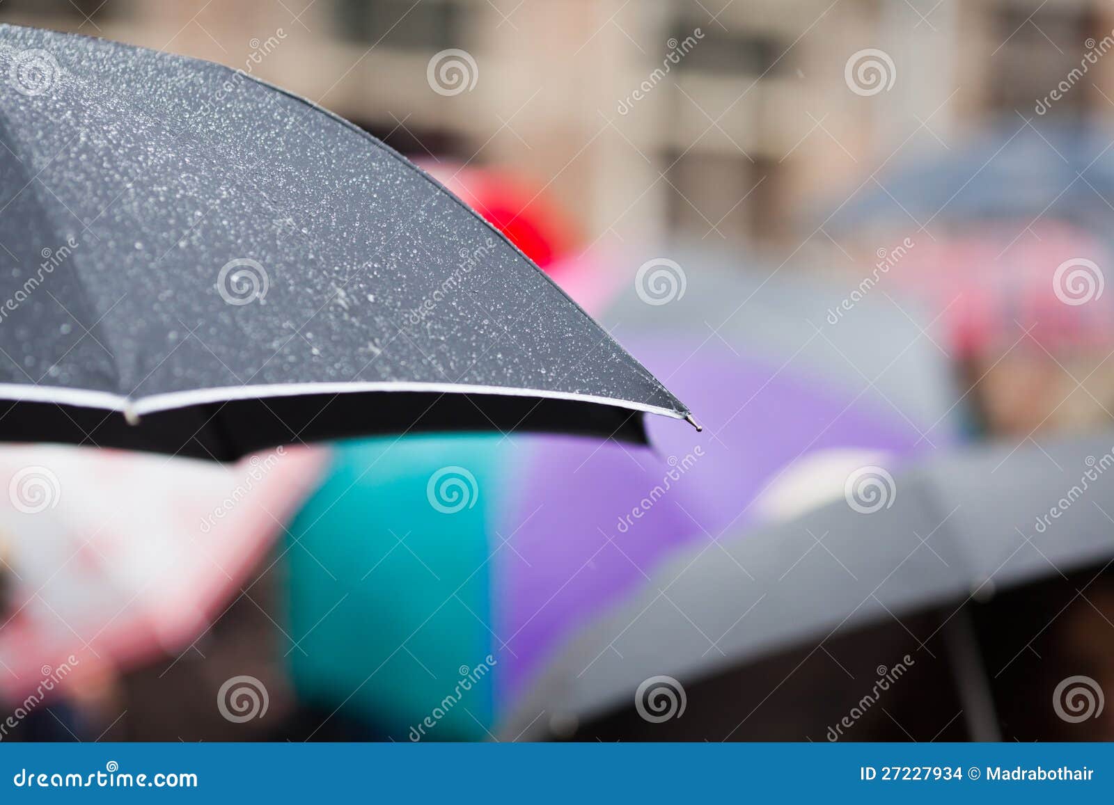 Umbrella with raindrops stock photo. Image of rainy, umbrella 27227934