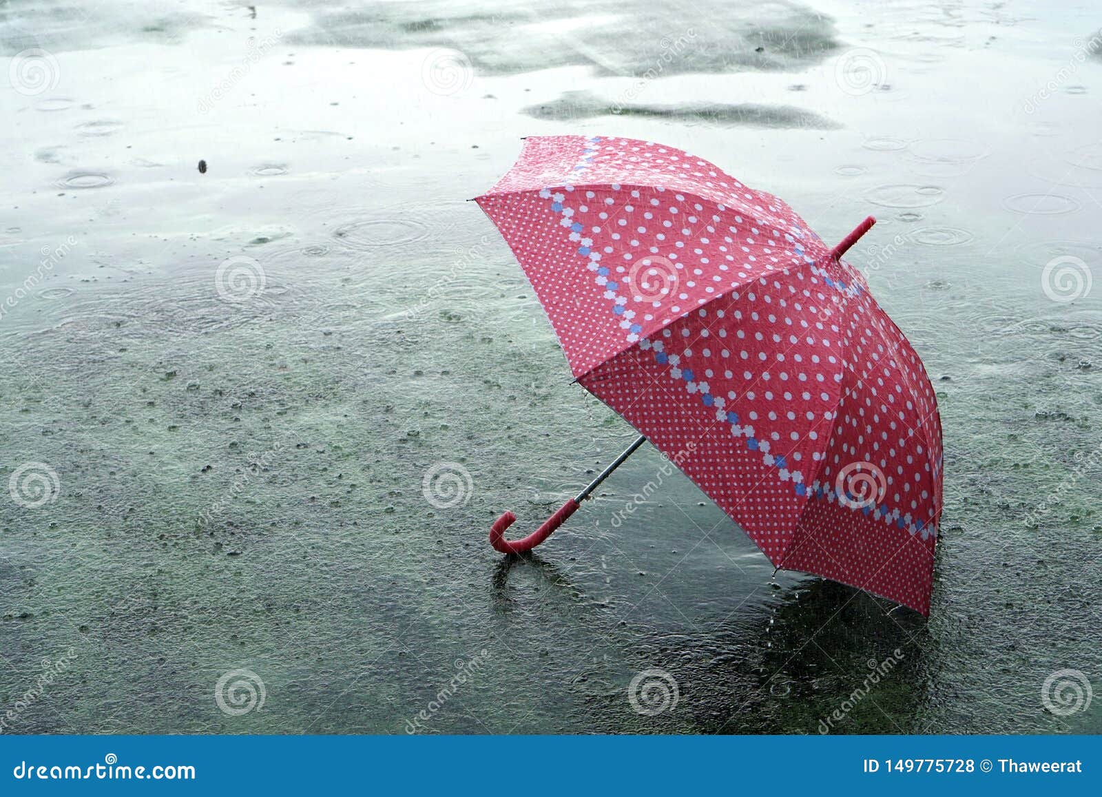 Umbrella on Rainy Day the Raindrops Falling on an Umbrella Which Put