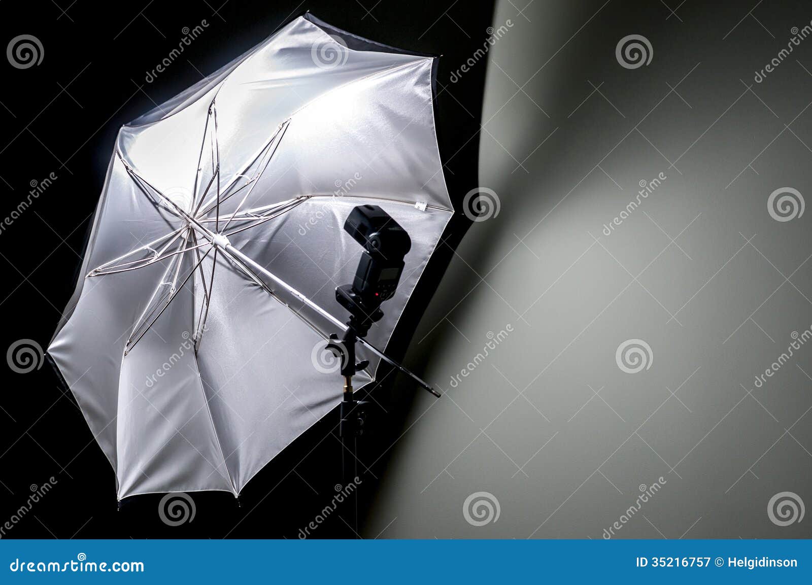 umbrella reflector with flash gun