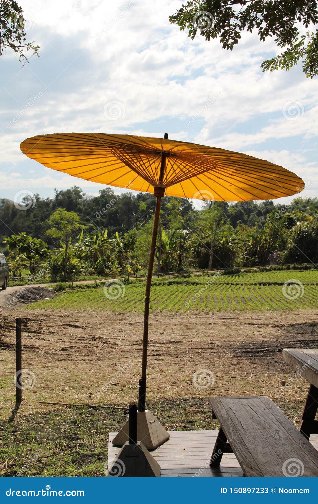 Umbrella Sit on the Stand with Backdrop is Rice Fields Stock Image Image of meadow, umbrella