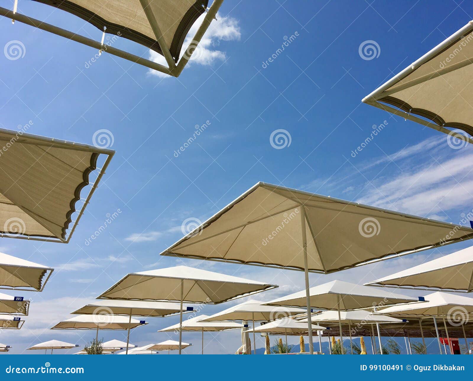 Umbrellas at the Beach Club Stock Image Image of nature, romantic