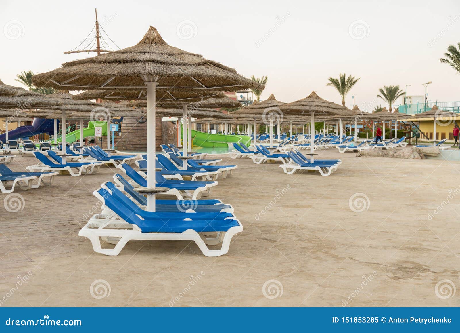 Umbrellas And Chaise Lounges On The Beach Scenic View Of Private Sandy Beach With Sun Beds From