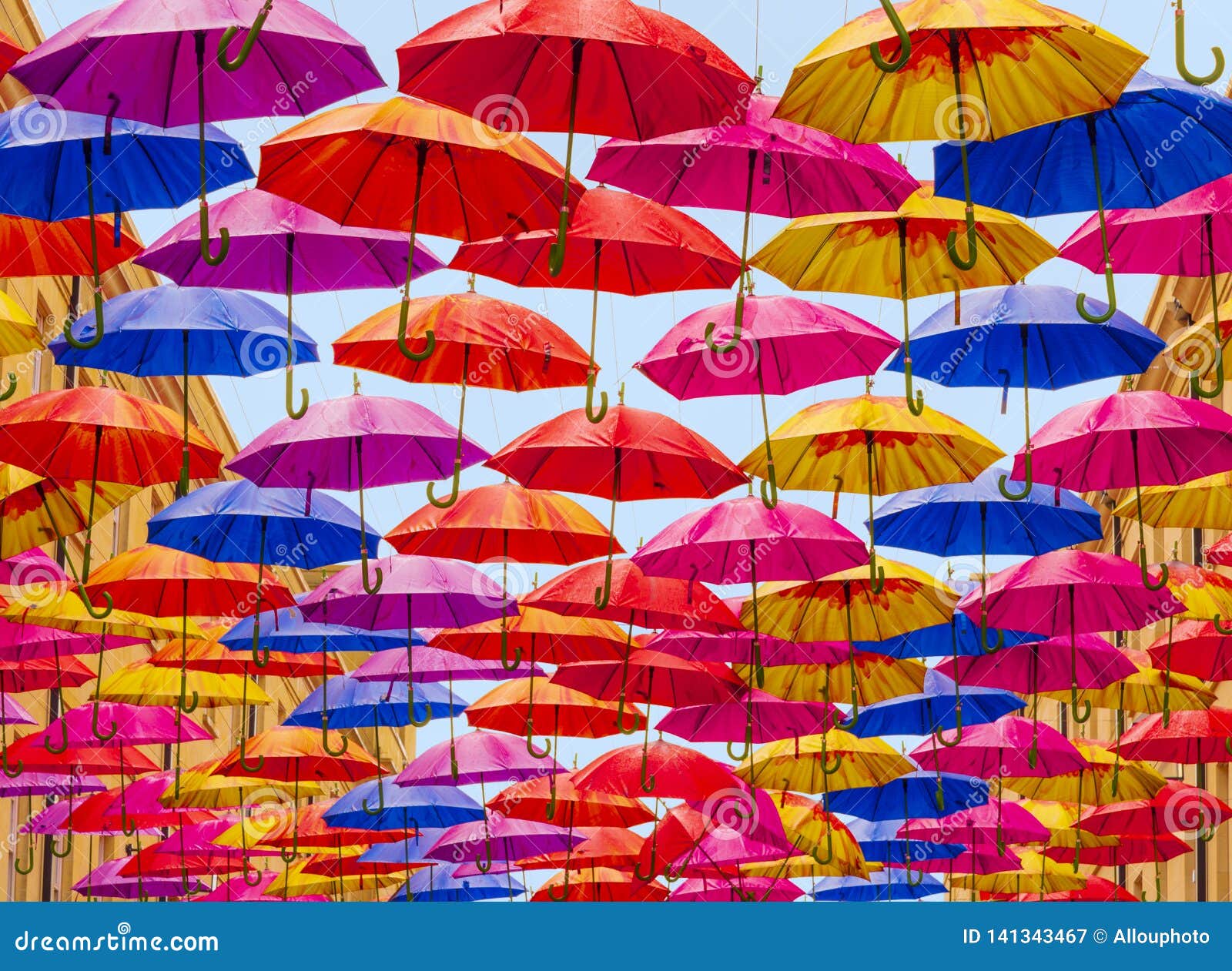 Umbrellas Hanging in Rows Over a Street Stock Image Image of