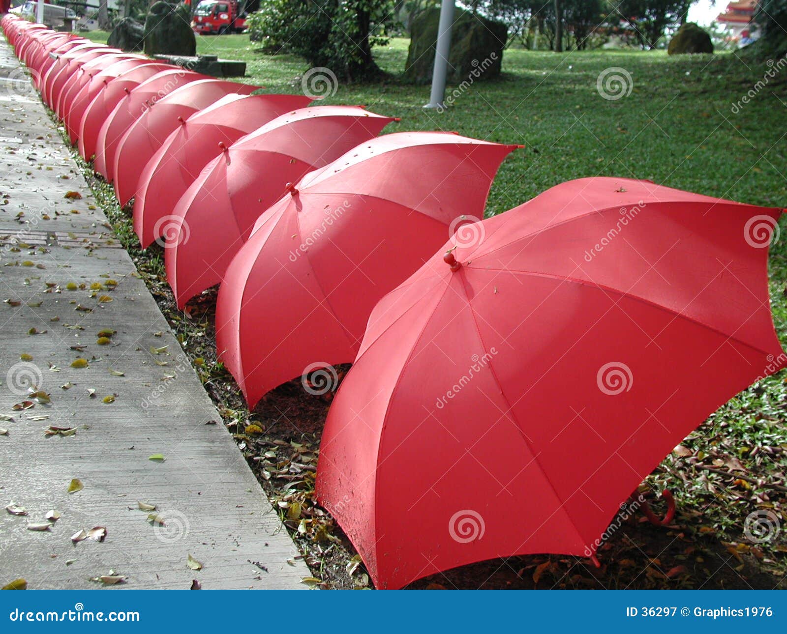 Umbrellas in a line stock image. Image of rain, path, many - 36297