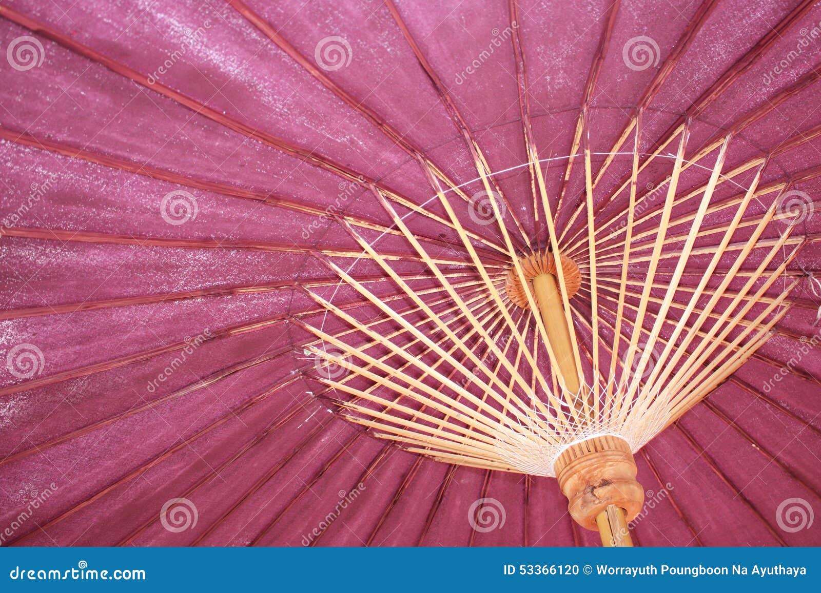 Umbrellas made of bamboo stock photo. Image of petal 53366120