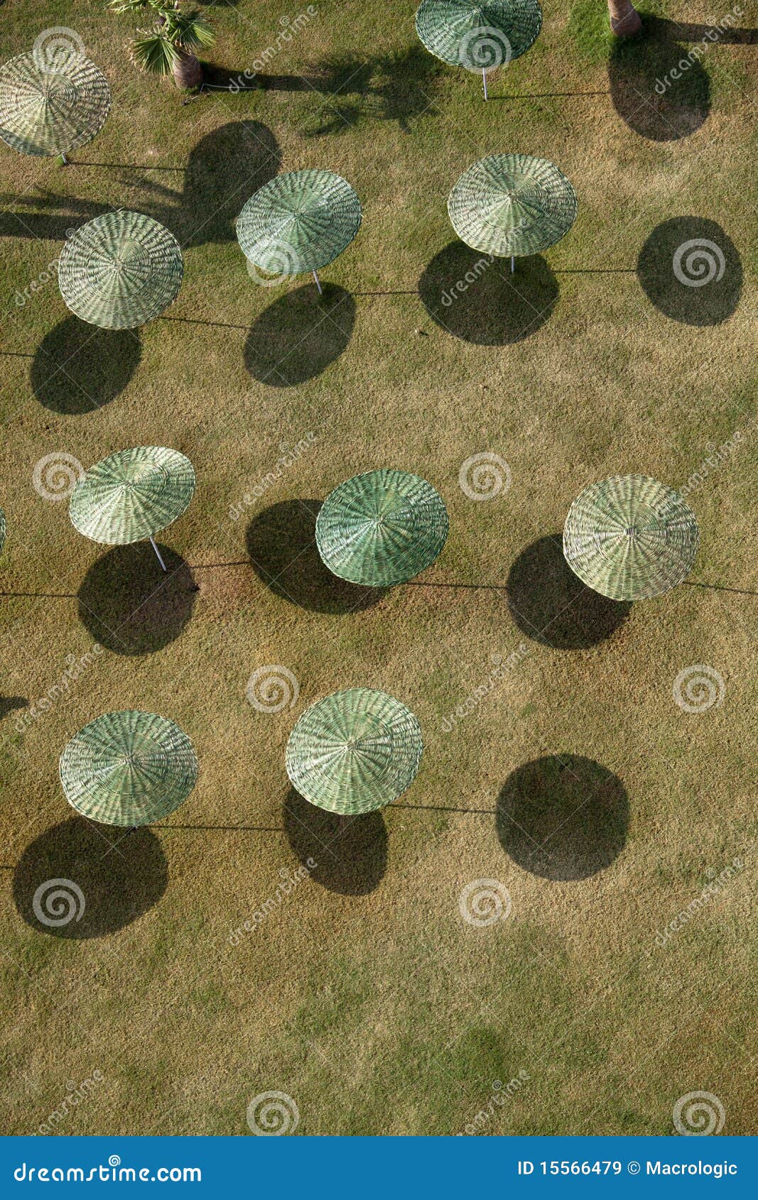Umbrellas in the sun stock image. Image of architecture 15566479