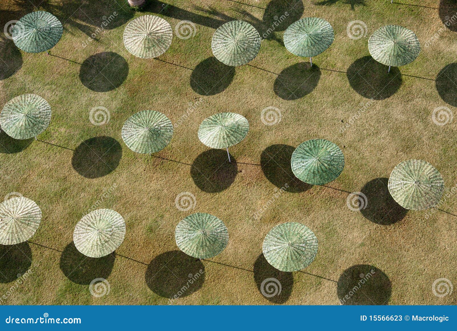 Umbrellas in the sun stock image. Image of umbrella, gardener 15566623