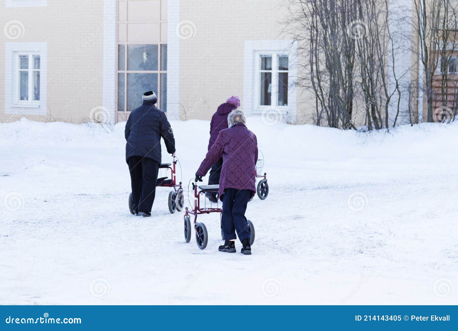umea-norrland-sweden-march-older-ladies-out-their-walkers-snow-214143405.jpg