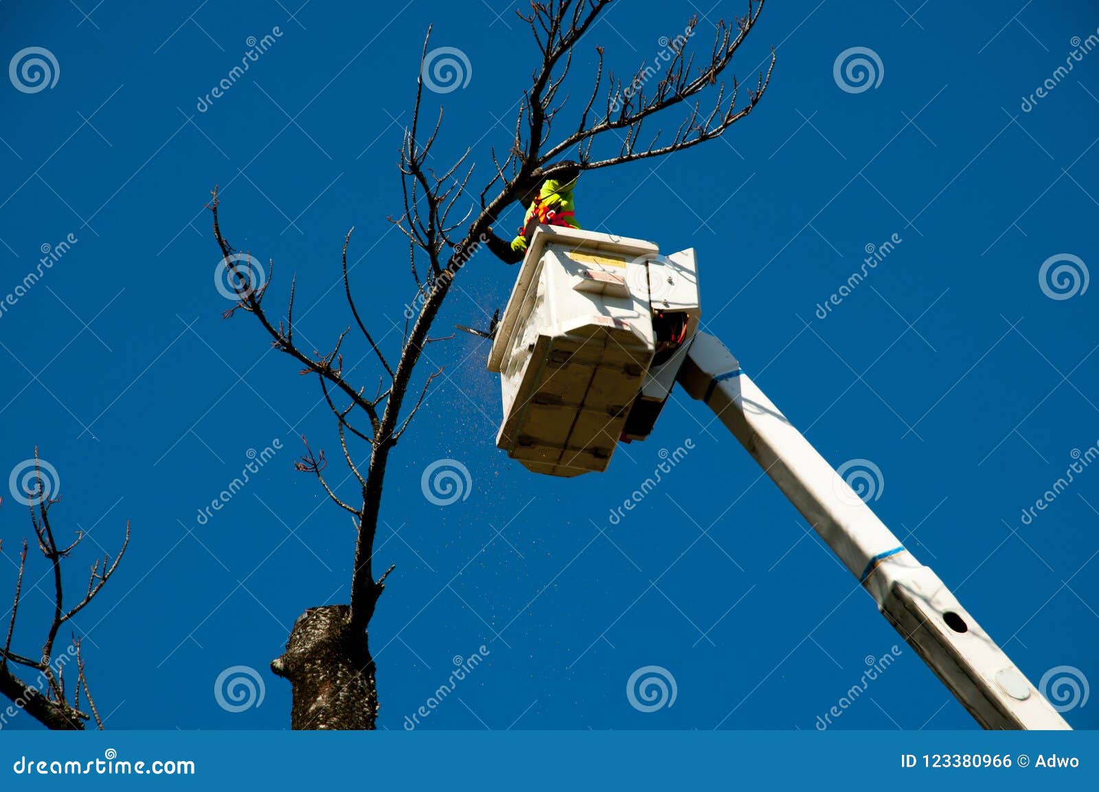 Umwelt- und Landschaftszerstörung. Baum-Holzschlag im Eimer-Aufzug