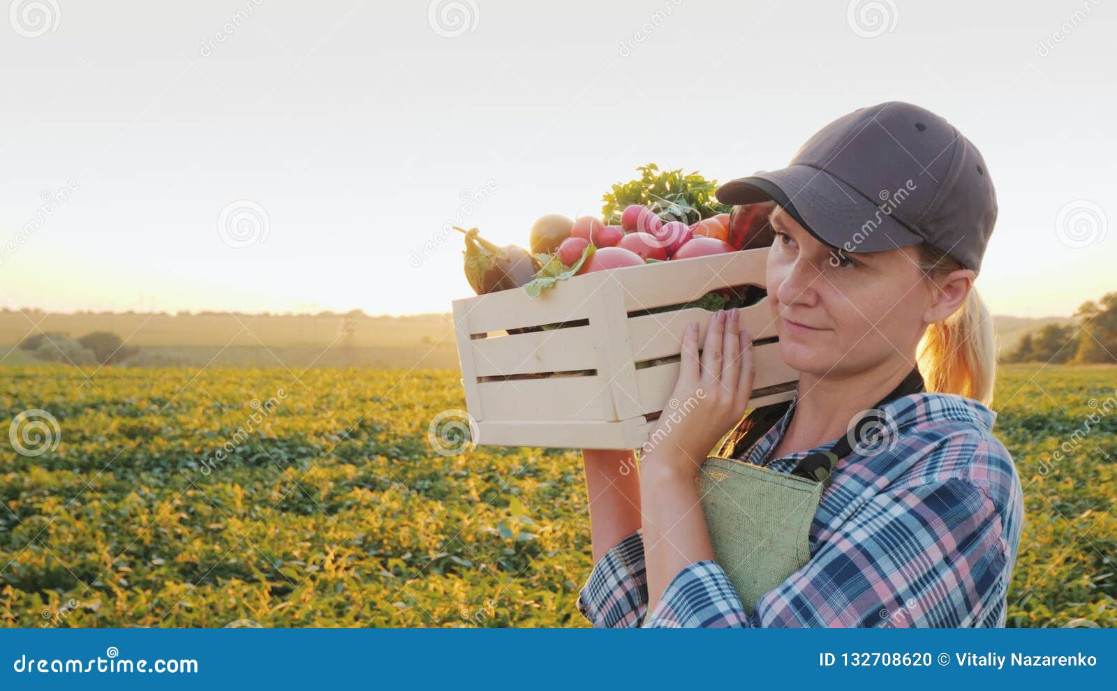Un agriculteur féminin avec une boîte de légumes frais marche le long de son champ Consommation saine et légumes frais
