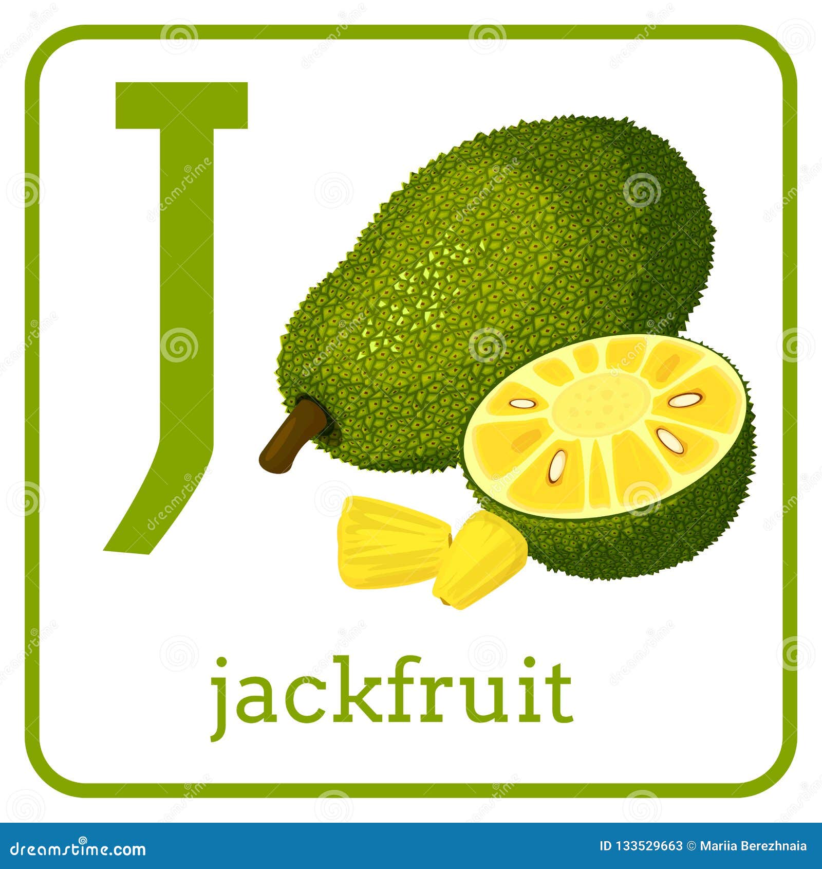Un Alfabeto Con Las Frutas Lindas, Jackfruit De La Letra J Ilustración