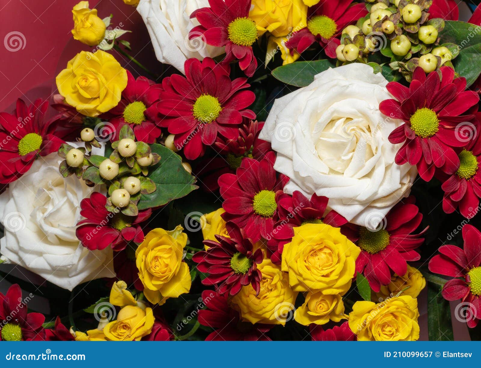 Un Beau Bouquet De Fleurs Variées, Y Compris Des Roses. Fond Fleuri. Carte  Postale De Vacances Image stock - Image du botanique, emballage: 210099657