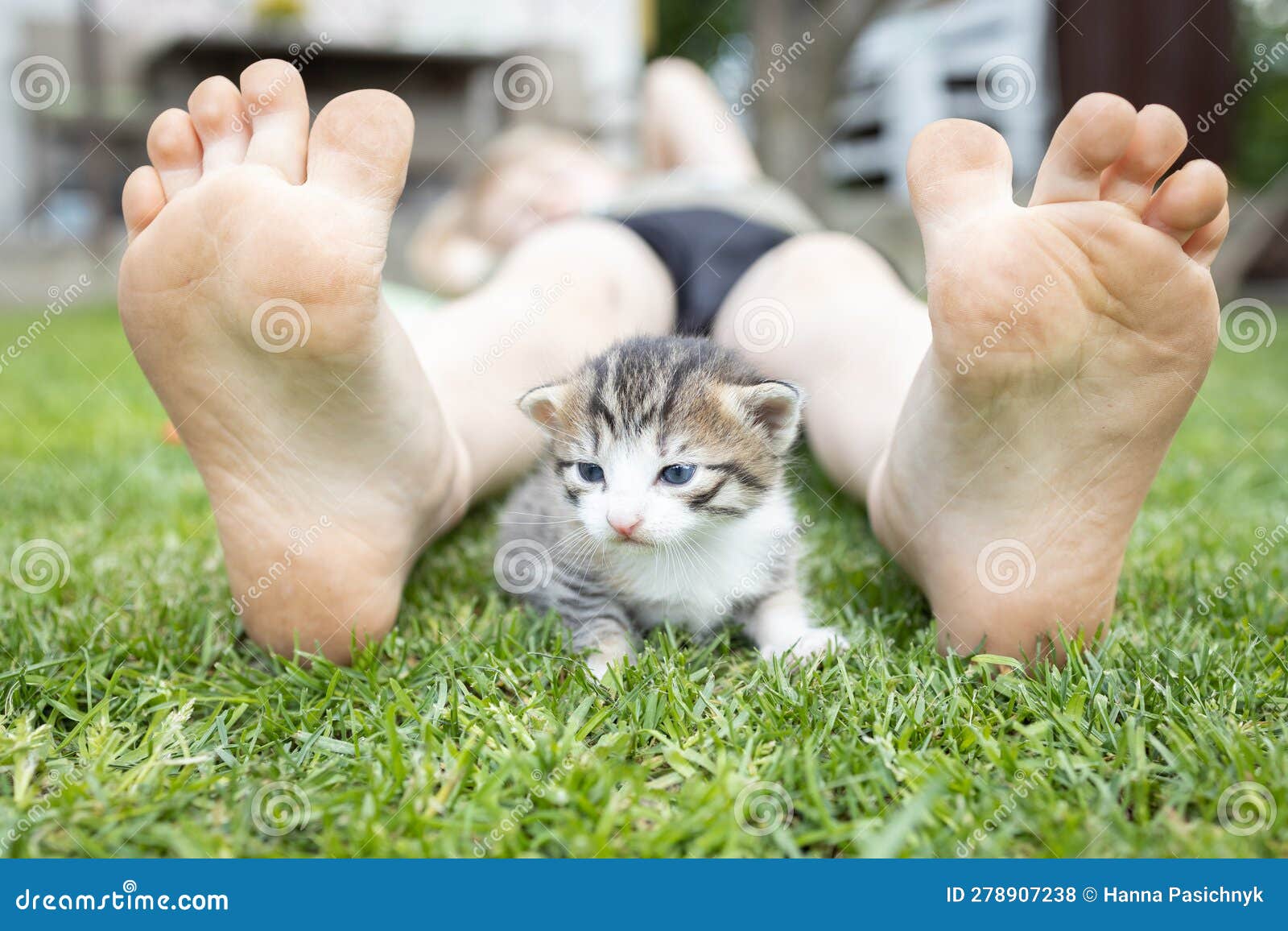 Un Bonito Gatito Se Sienta Entre Los Pies Desnudos De Los Niños En El  Césped En Un Cálido Día De Verano Foto de archivo - Imagen de ocio, bebé:  278907238