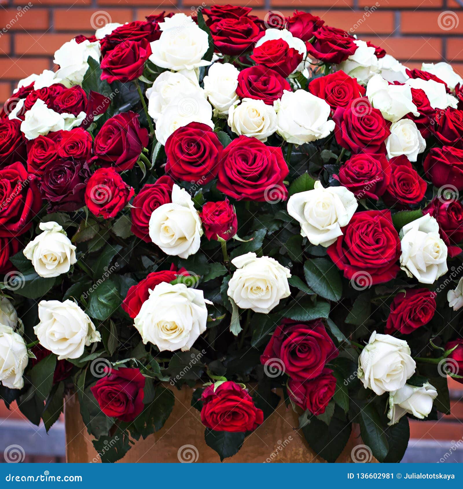 Un Bouquet énorme Des Roses Blanches Et Rouges Image stock - Image du  homme, beauté: 136602981