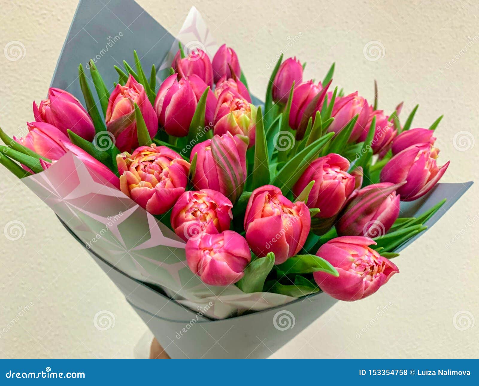 Un Bouquet De Doubles Tulipes Blanches Rouge-rose De Pivoine Dans Un  Emballage Moderne Gris Sur Un Fond Blanc Jour De M?res Heure Photo stock -  Image du jardin, groupe: 153354758