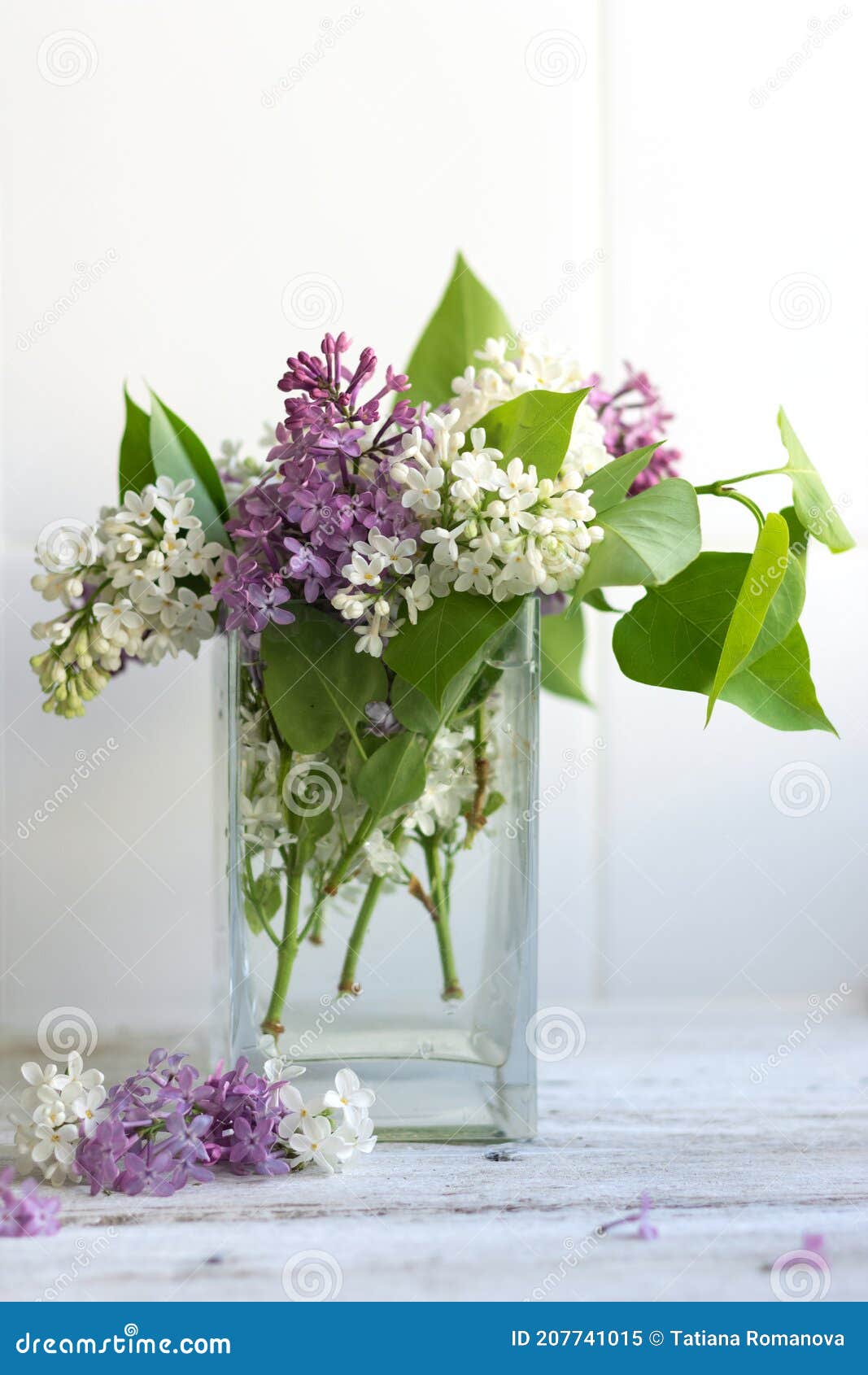 Un Bouquet De Lilas Mauve Et Blanc Du Printemps Dans Un Vase Sur Fond Clair  De Bois Et De Tuiles. Récipient En Verre Avec Transpar Image stock - Image  du postcard, espace:
