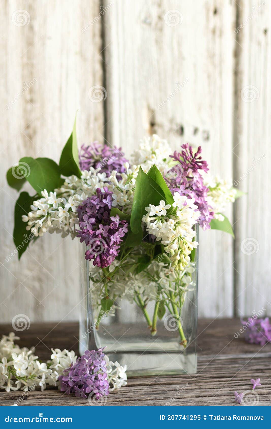 Un Bouquet De Lilas Mauve Et Blanc Du Printemps Dans Un Vase Sur Un Fond En  Bois Clair. Récipient En Verre Transparent Avec De L'e Image stock - Image  du pouvez, personne: